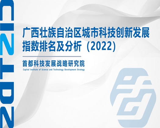 香蕉视频孟男尻美女的㘩【成果发布】广西壮族自治区城市科技创新发展指数排名及分析（2022）